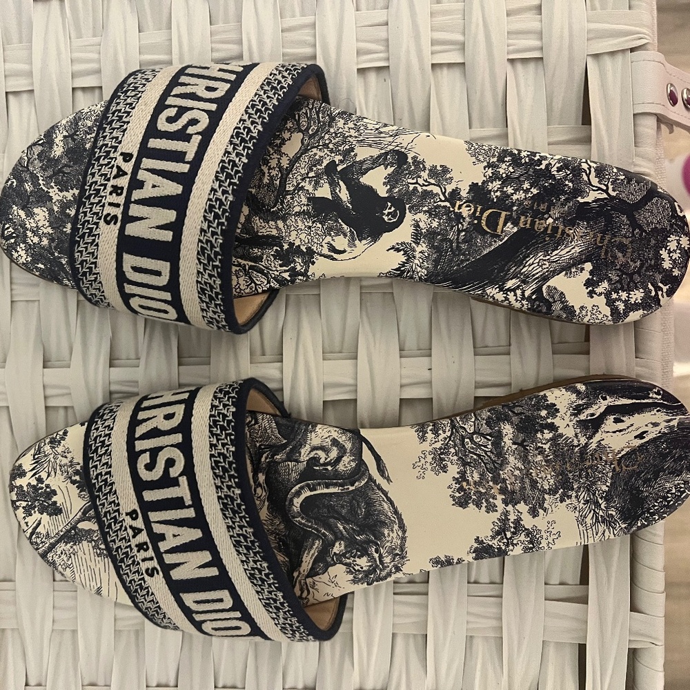 Christian Dior- Dway Slide